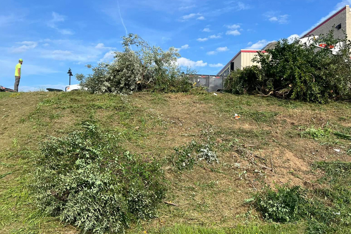 Before Commercial Land Clearing